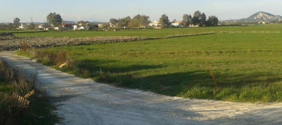 Land for sale in Zakynthos, Ionian Islands, Peloponnese, Western Greece and the Ionian, Greece № 800 5