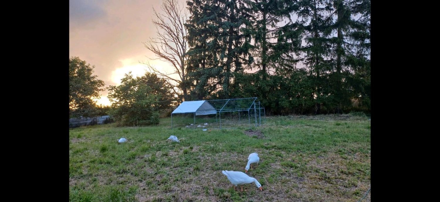 Таунхаус с 1 спальней в Передняя Померания-Рюген, Германия № 246828