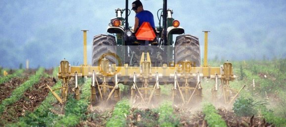 50000m² Land in Marostica, Italy No. 54953 3