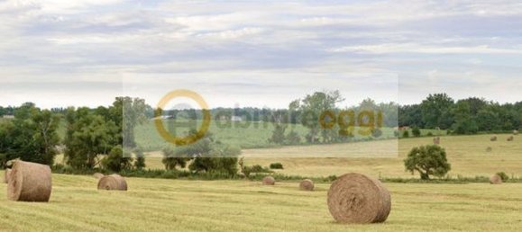 50000m² Land in Marostica, Italy No. 54953 5