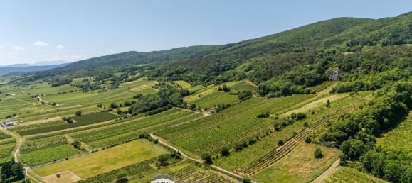 6-salle Maison à Gumpoldskirchen, Austria No. 150079 29