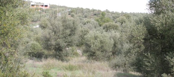 Отель, гостиница 13244м² в Полийирос, Греция № 5211 7