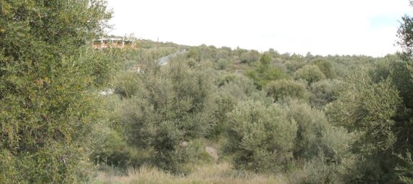 Отель, гостиница 13244м² в Полийирос, Греция № 5211 8