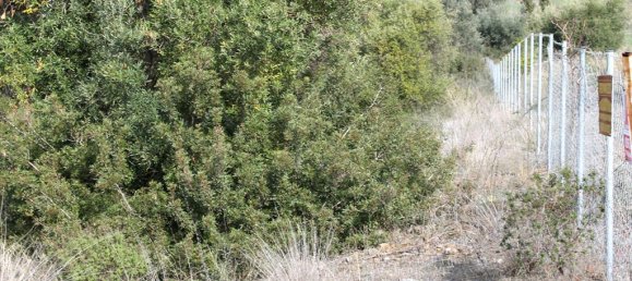 Отель, гостиница 13244м² в Полийирос, Греция № 5211 6