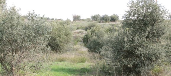 Отель, гостиница 13244м² в Полийирос, Греция № 5211 10