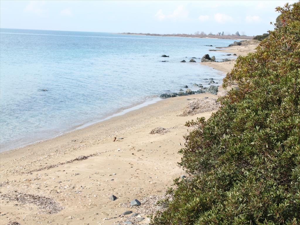 Отель, гостиница 13244м² в Полийирос, Греция № 5211