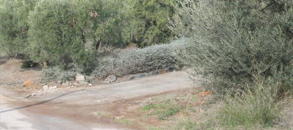 Отель, гостиница 13244м² в Полийирос, Греция № 5211 9