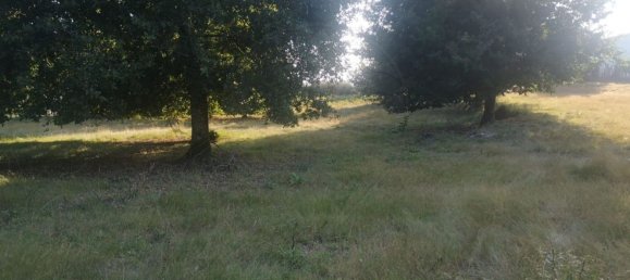  قطعة أرض في Arcos de Valdevez, Portugal 2304متر مربع رقم 58702 4