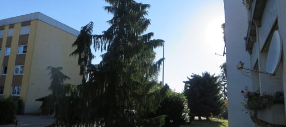 Квартира с 1 спальней в Донау-Рис, Германия № 240714 9