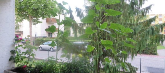 Квартира с 1 спальней в Донау-Рис, Германия № 240714 8