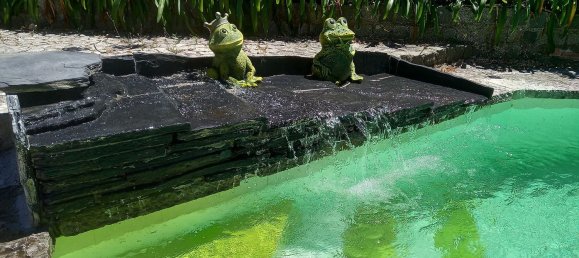 5 Schlafzimmer Haus in Oeiras, Portugal, Nr. 48850 9