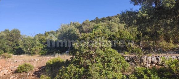 13300m² Land in Fasano, Italy No. 193917 31