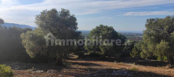 13300m² Land in Fasano, Italy No. 193917 5