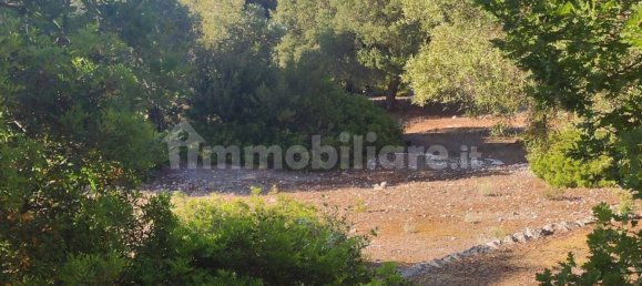 13300m² Land in Fasano, Italy No. 193917 26