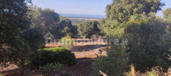 13300m² Land in Fasano, Italy No. 193917 8