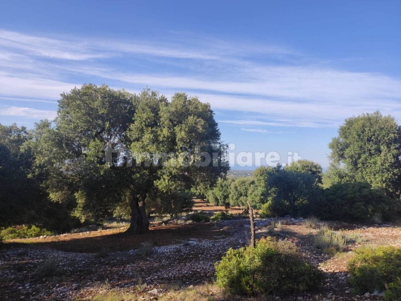 13300m² Land in Fasano, Italy No. 193917