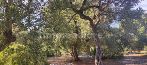 13300m² Land in Fasano, Italy No. 193917 20