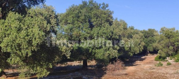 13300m² Land in Fasano, Italy No. 193917 19