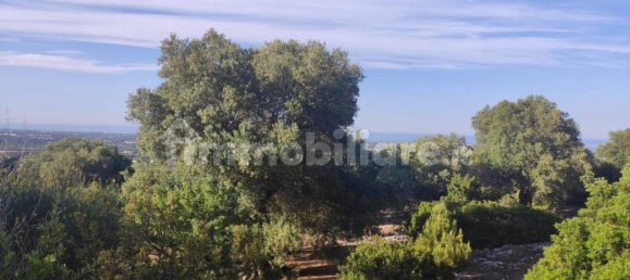 13300m² Land in Fasano, Italy No. 193917 13