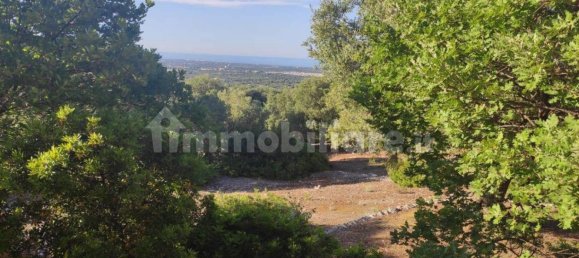 13300m² Land in Fasano, Italy No. 193917 25