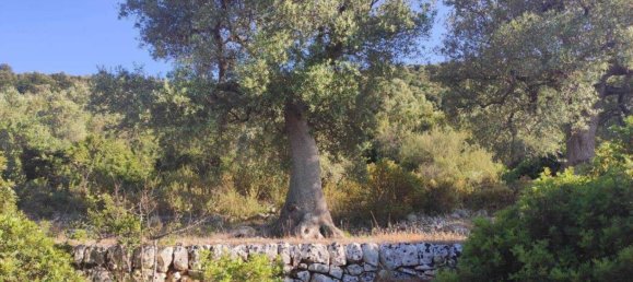 13300m² Land in Fasano, Italy No. 193917 3