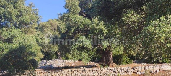 13300m² Land in Fasano, Italy No. 193917 32