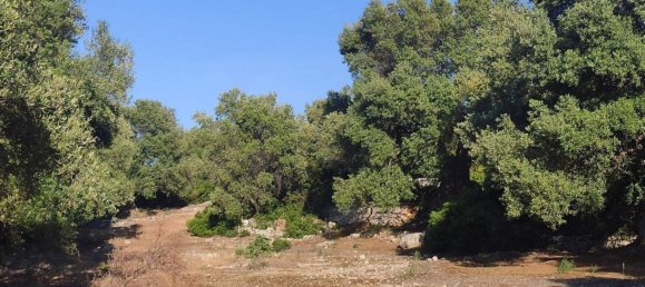 13300m² Land in Fasano, Italy No. 193917 22