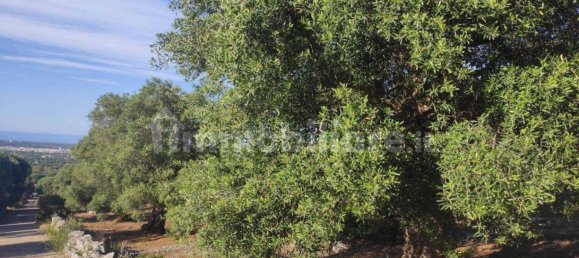 13300m² Land in Fasano, Italy No. 193917 7