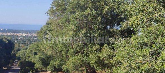 13300m² Land in Fasano, Italy No. 193917 9