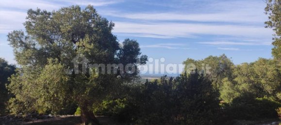 13300m² Land in Fasano, Italy No. 193917 4