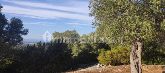 13300m² Land in Fasano, Italy No. 193917 29