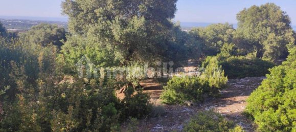13300m² Land in Fasano, Italy No. 193917 14