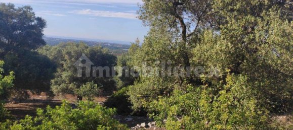 13300m² Land in Fasano, Italy No. 193917 15