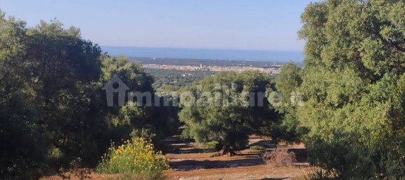 13300m² Land in Fasano, Italy No. 193917 10