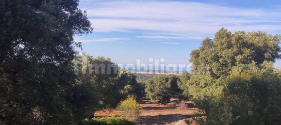 13300m² Land in Fasano, Italy No. 193917 11