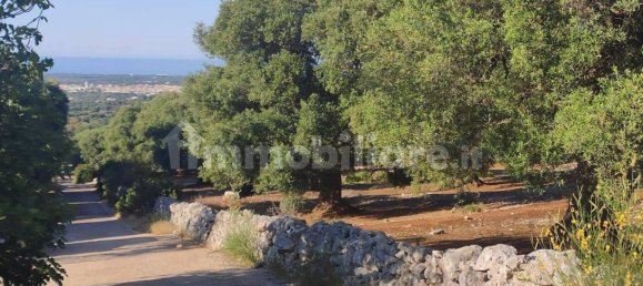 13300m² Land in Fasano, Italy No. 193917 16