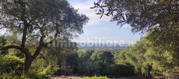 13300m² Land in Fasano, Italy No. 193917 33