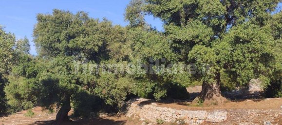 13300m² Land in Fasano, Italy No. 193917 17