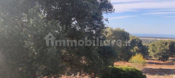 13300m² Land in Fasano, Italy No. 193917 12