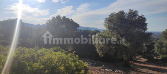 13300m² Land in Fasano, Italy No. 193917 28