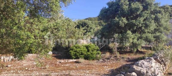 13300m² Land in Fasano, Italy No. 193917 23