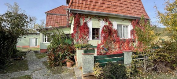 13 rooms House in Bad Voslau, Austria No. 244314 9
