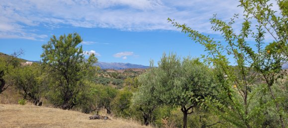 1 bedroom Villa in Monda, Spain No. 54843 5