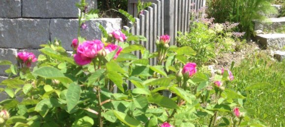 5-Zimmer Haus in Konstanz, Germany, Nr. 242045 30