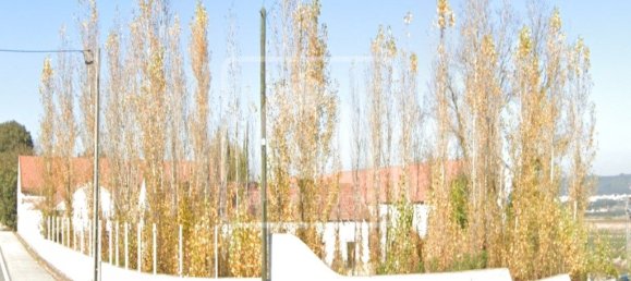 Casa de 6 dormitorios en Santa Margarida da Coutada, Portugal No. 141201 17