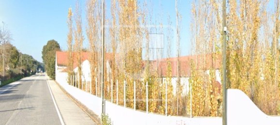 Casa de 6 dormitorios en Santa Margarida da Coutada, Portugal No. 141201 20