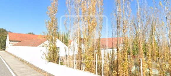 Casa de 6 dormitorios en Santa Margarida da Coutada, Portugal No. 141201 19