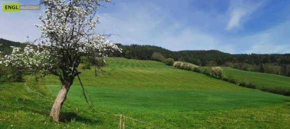 11-Zimmer Haus in Otterthal, Austria, Nr. 180914 8