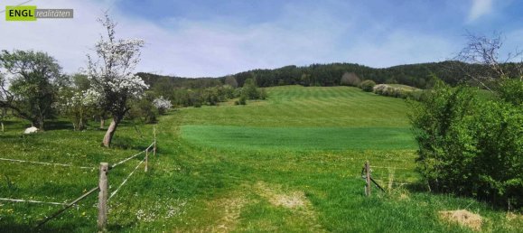 11-Zimmer Haus in Otterthal, Austria, Nr. 180914 10