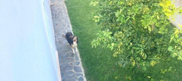 Дом с 4 спальнями в Аркос-де-ла-Фронтера, Испания № 154977 9